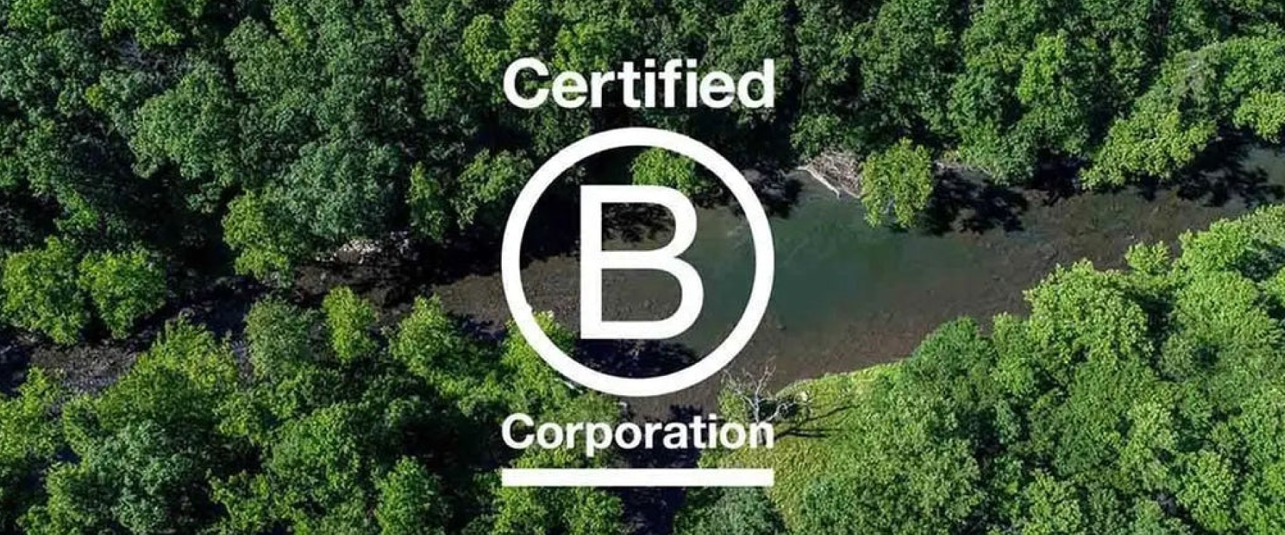 We Are a B-Corp - What That Means & Why We Do It