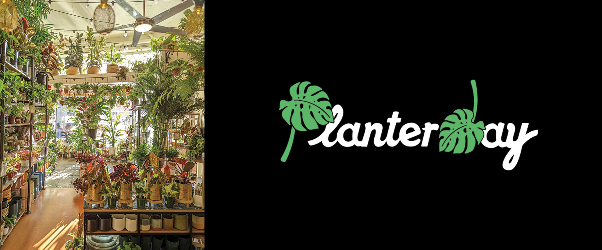 Logo and indoor image of Planterday, mission-driven plant shop