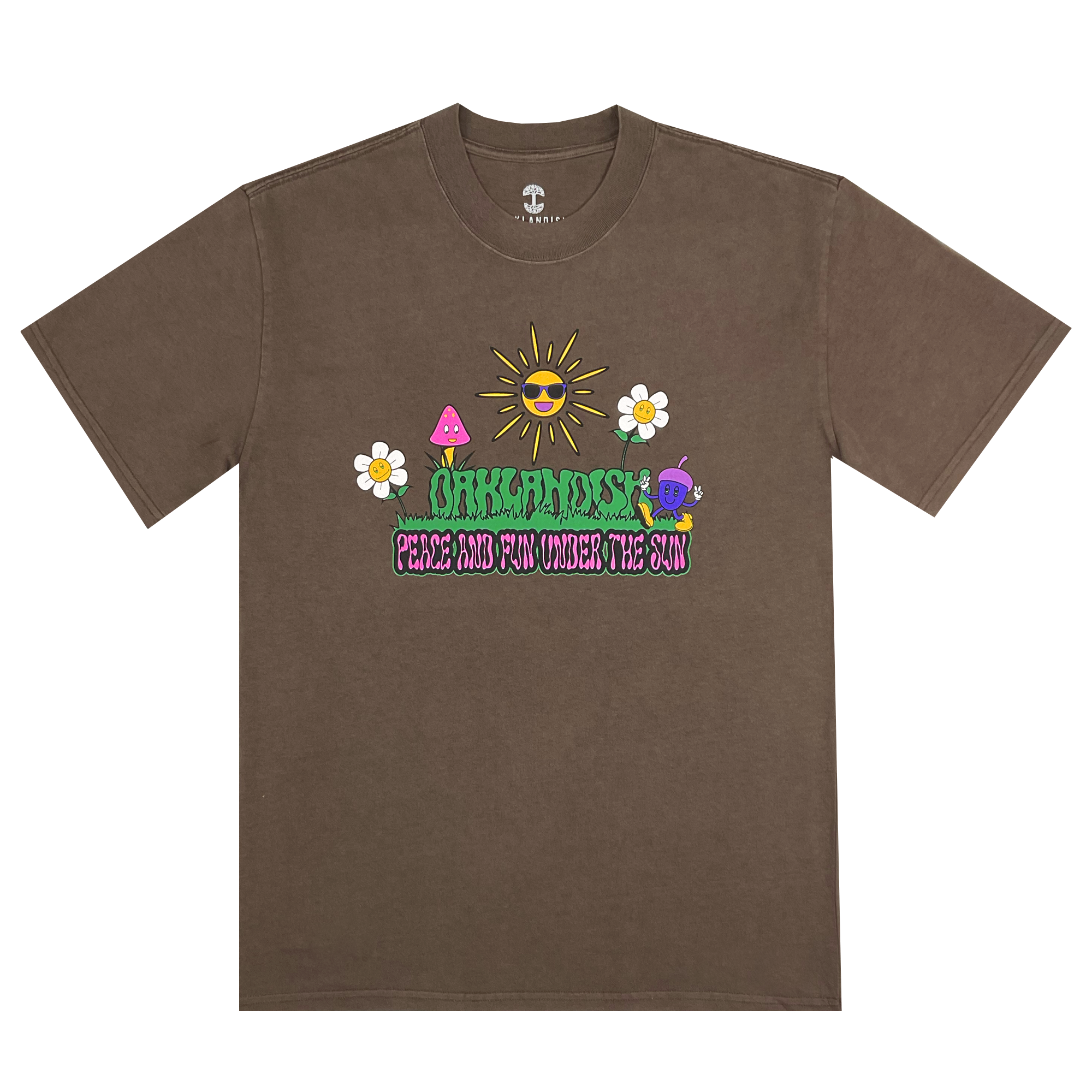 Front view of Faded Brown cotton tee with Under the Sun design.