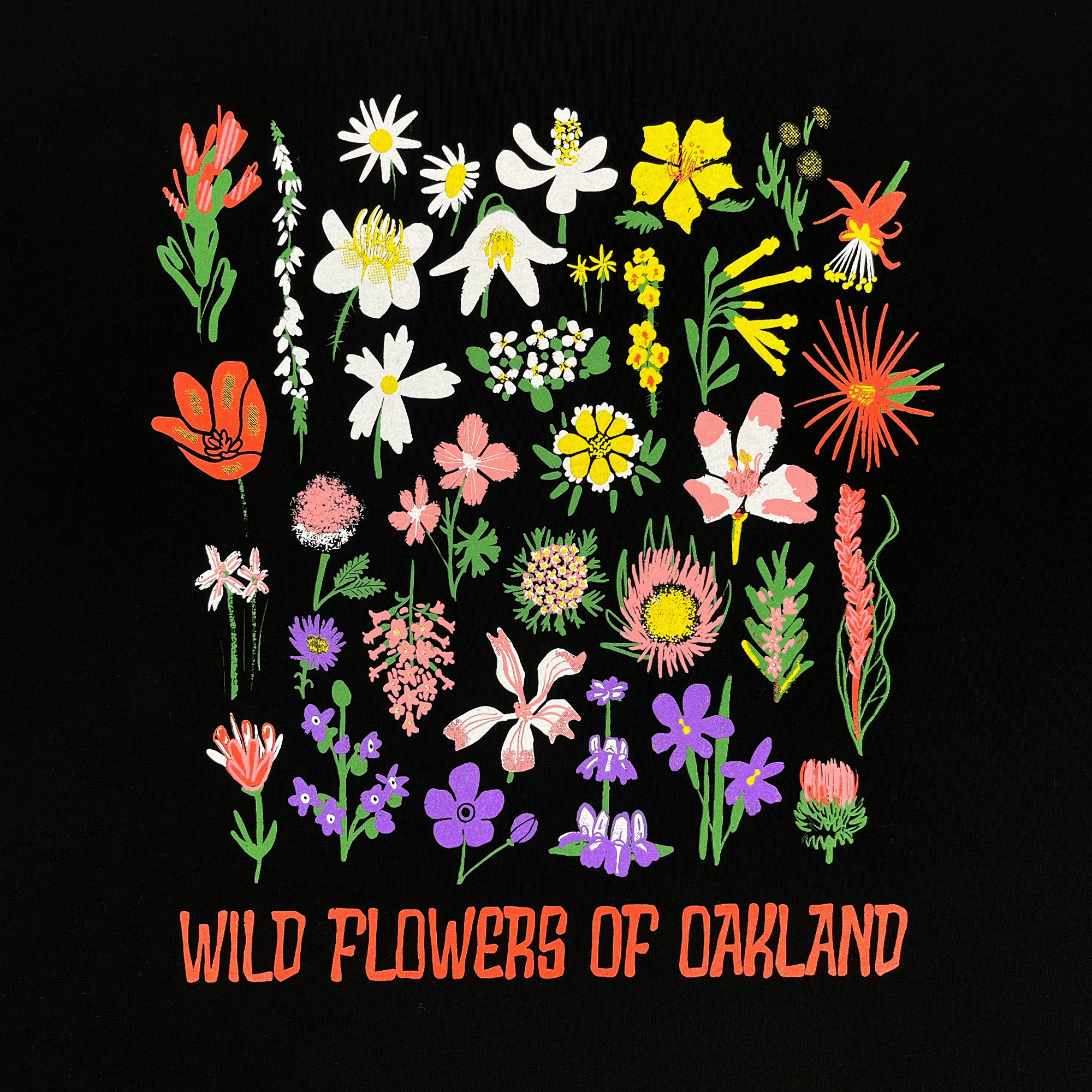 Close-up of graphic depicting various flowers captioned WILD FLOWERS OF OAKLAND on a black women’s cut cotton t-shirt.