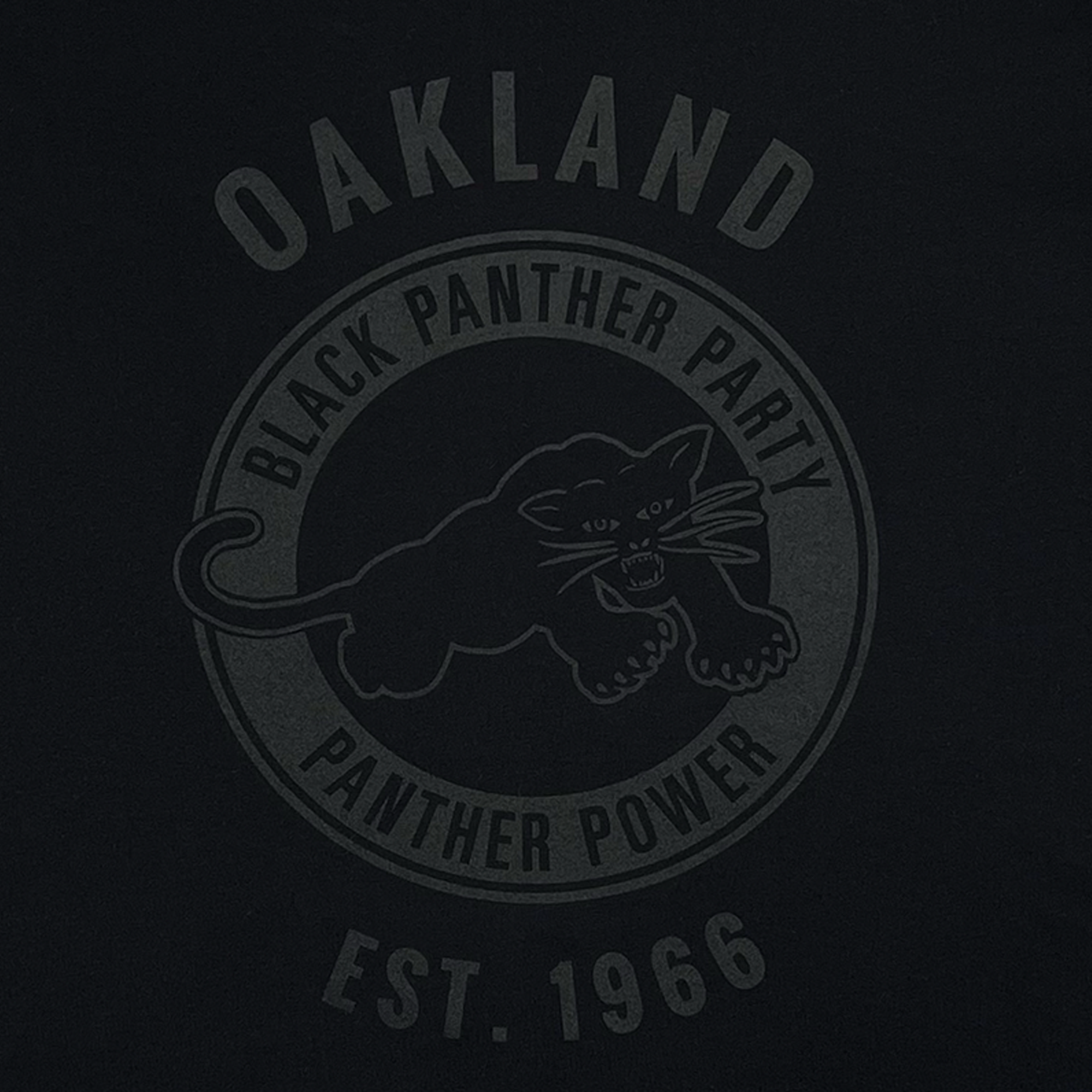 The Oaklandish Black Panther Power Tee features a dark design with a circular Black Panther Party logo, bold monochrome “OAKLAND,” “PANTHER POWER,” and “EST. 1966” text—honoring the legacy of change.