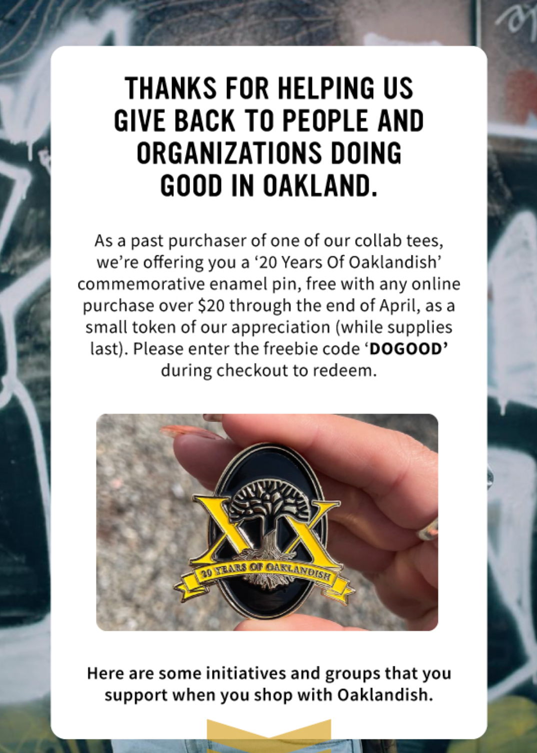 Commemorative Pin