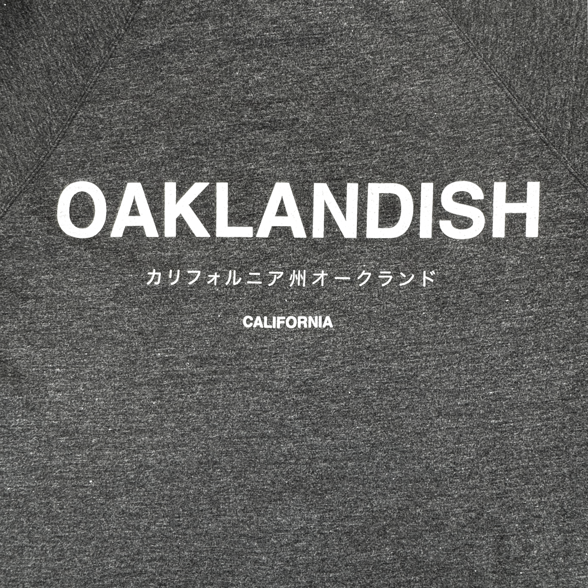The Modern Type Zip Hoodie by Oaklandish is a gray zip-up with "OAKLANDISH" in bold white letters. Japanese characters spell "California Oakland," and "CALIFORNIA" is at the bottom. The unisex fit complements any style, and the fabric's texture is visibly distinct.