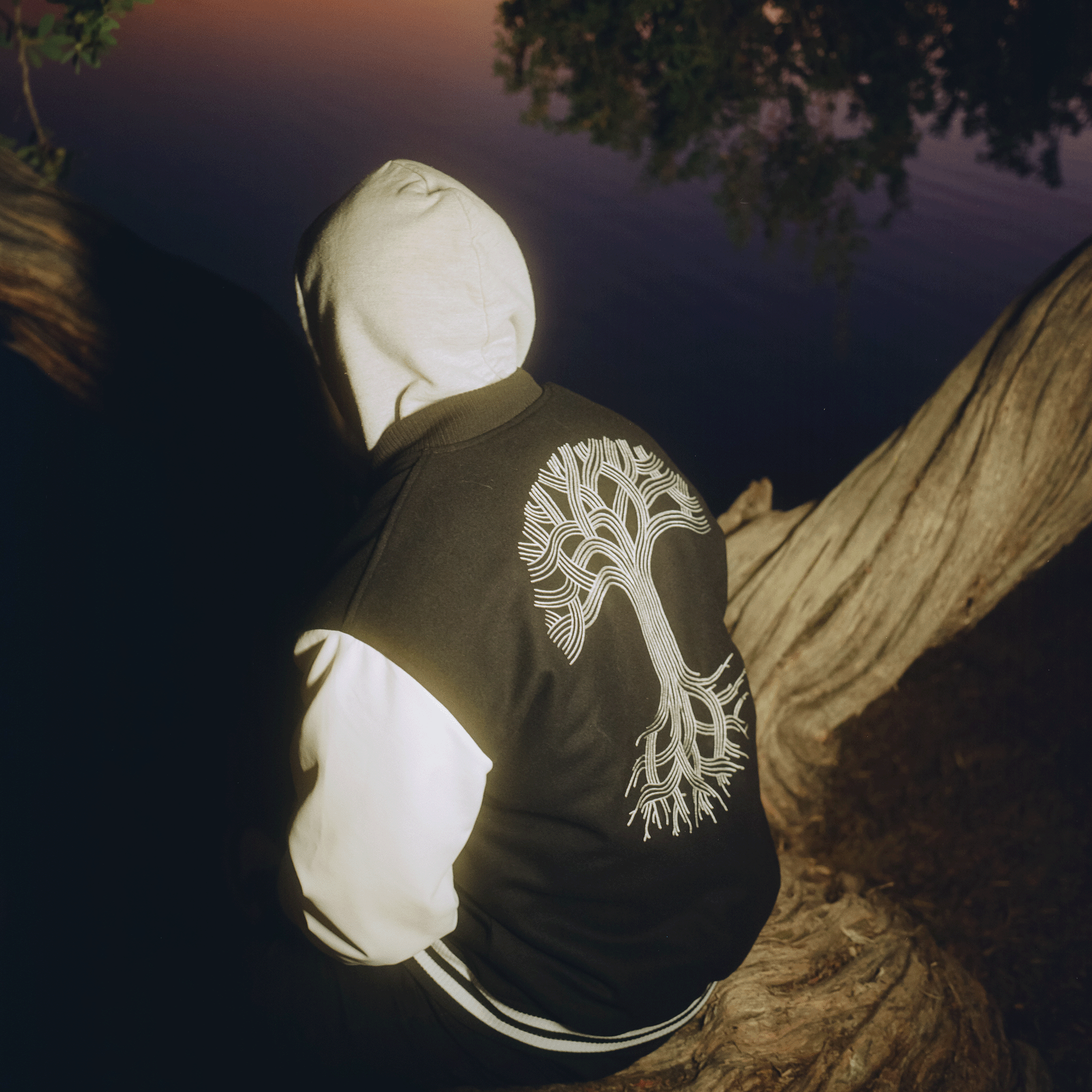 A man sitting beside the lake at sunset wearing a black and white varsity jacket with large Oaklandish tree logo on the back.
