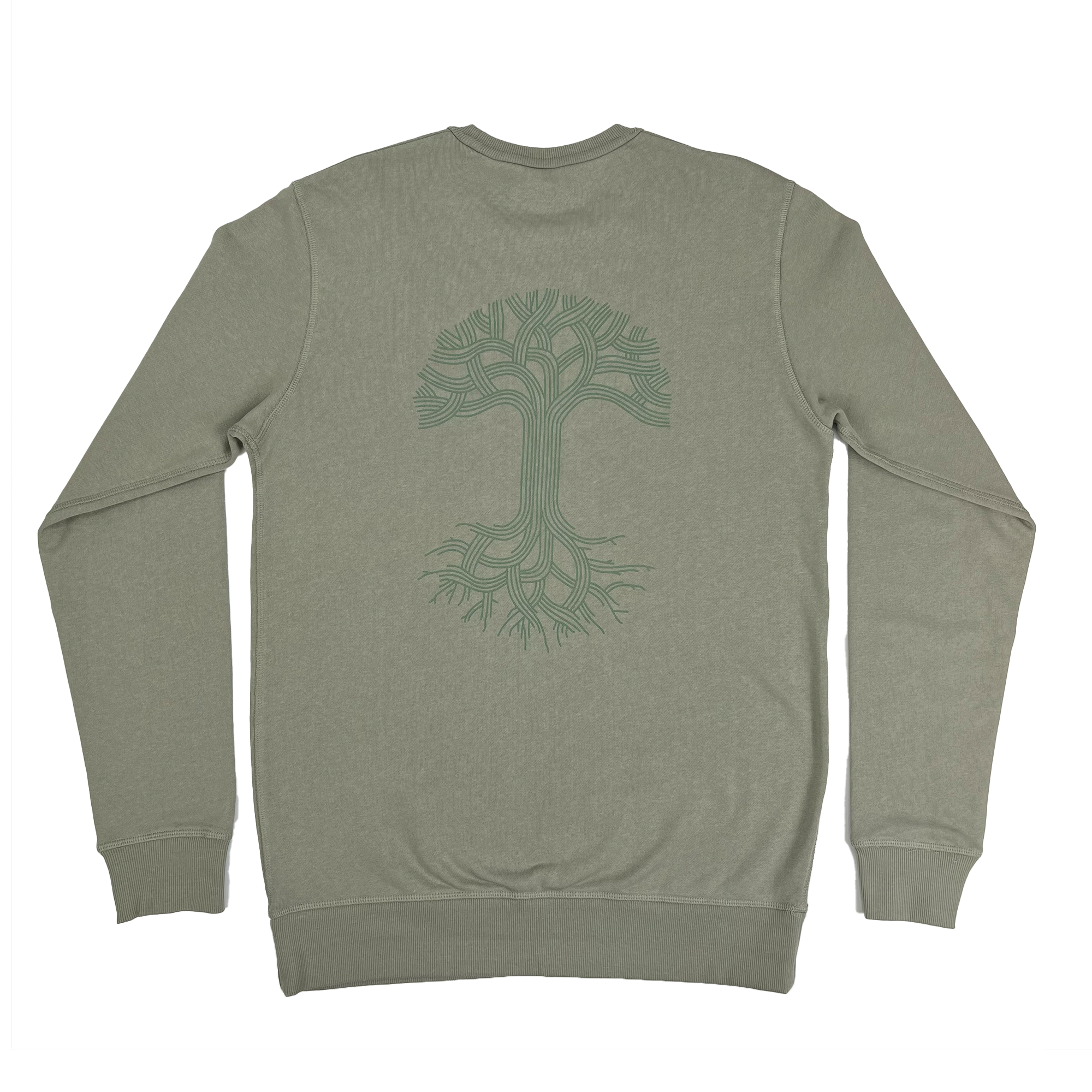 Back view of Premium crewneck sweatshirt - Oaklandish tree logo, eucalyptus.