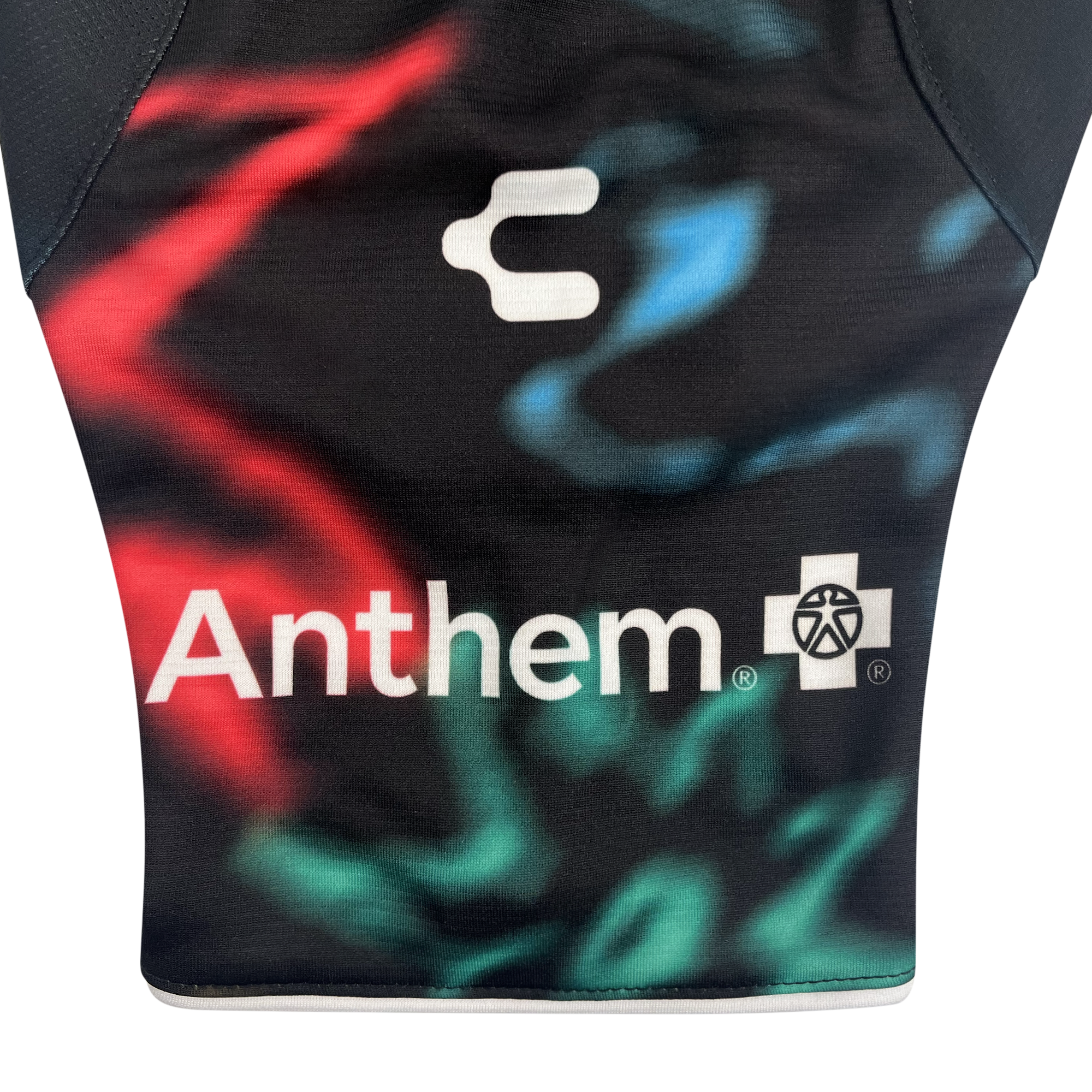 Detailed view of Charly and Anthem Blue Cross logo on  multicolored sleeve.