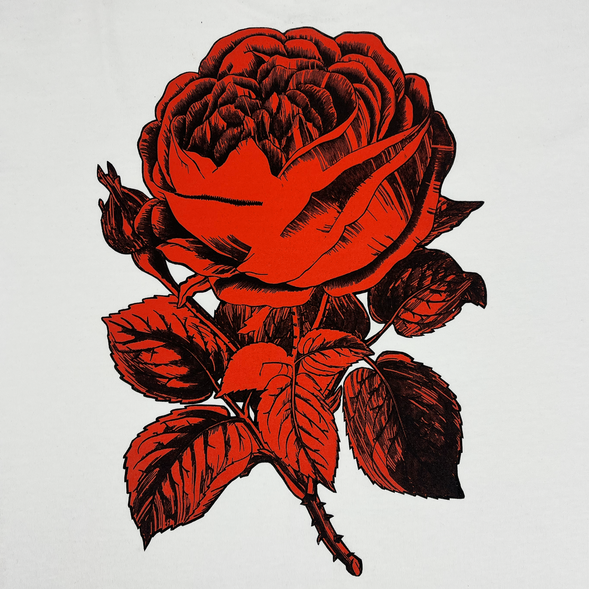 The Town Rose Heavy Tee by Oaklandish features a detailed illustration of a red rose with intricate petal shading and texture. The rose, complete with multiple petals, stem, and leaves—all depicted in shades of red and black against a white background—enhances the heavyweight combed cotton fabric. Designed for men's sizing, this boxy fit t-shirt exudes a classic, hand-drawn charm.