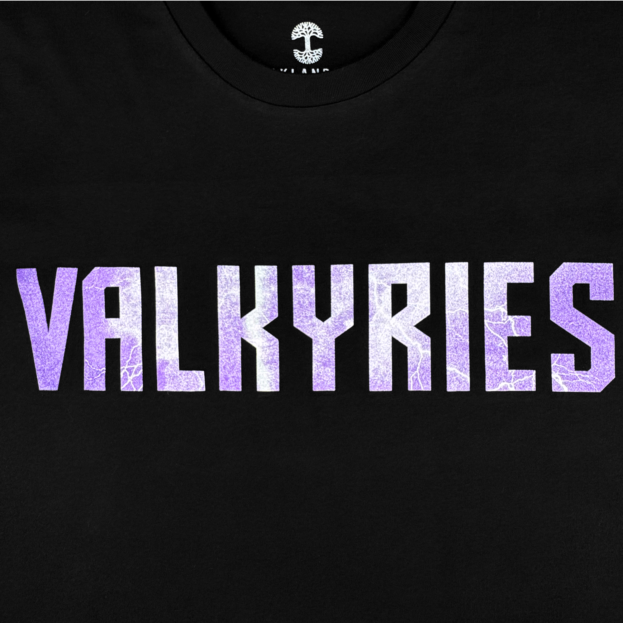 The GSV Golden State Valkyries Violet Lightning LS Tee features "VALKYRIES" in bold, purple-and-white crackled letters on a black long sleeve—ideal for Valkyries fans. Only the upper chest text is visible.