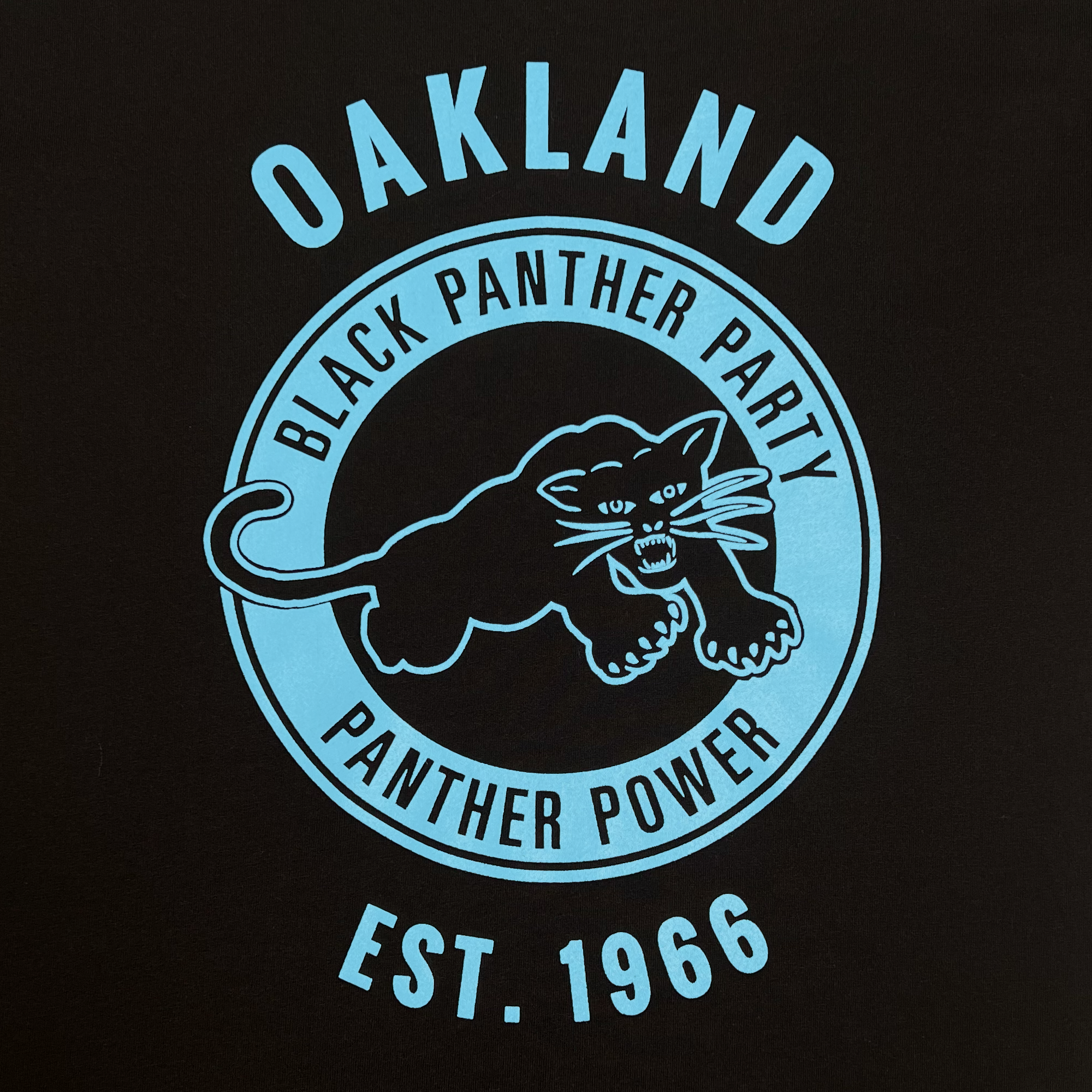 Close-up of a large blue Black Panther Power logo on the chest of a black t-shirt.