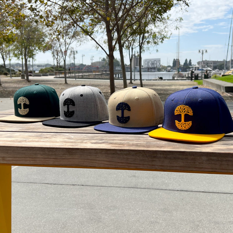 Four colorways (green, grey, tan, royal blue) of Oaklandish caps with contrasting brims on outdoor bench.