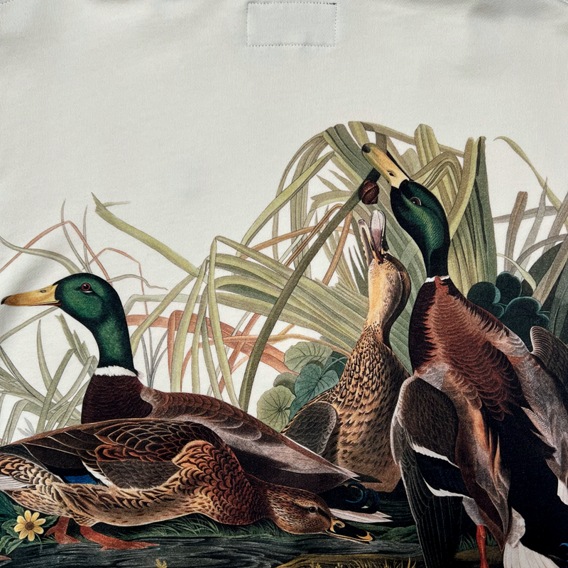   Close-up of mallard ducks all over print on the back of Oaklandish pullover hoodie.