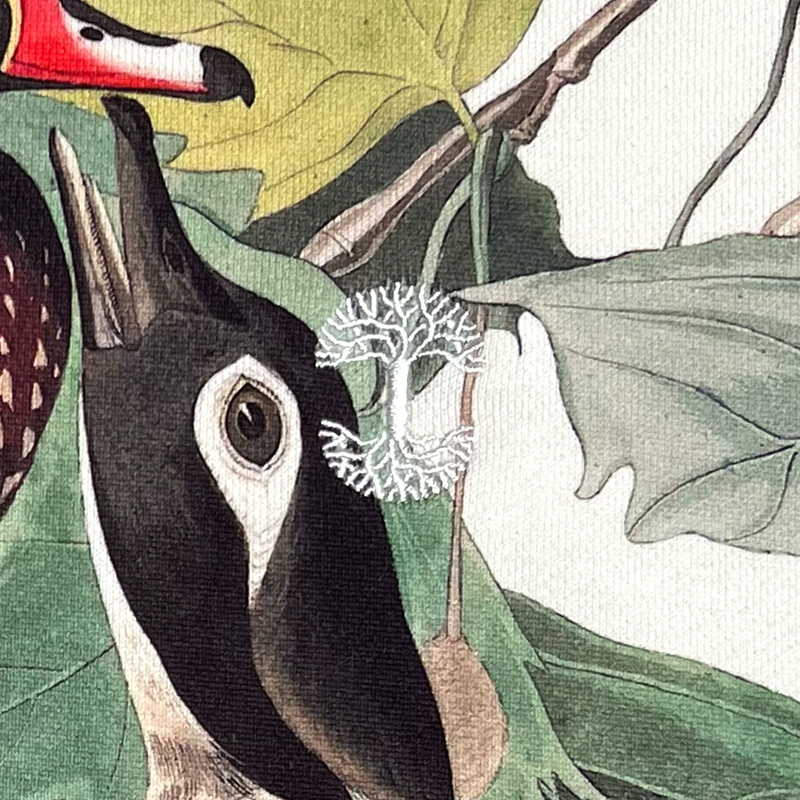 Detailed close up of embroidered Oaklandish tree logo embroidered on chest of ducks crewneck sweatshirt.