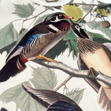 Detailed close up of wood duck all over print on cream crewneck sweatshirt with Oaklandish tree logo embroidered on left chest.