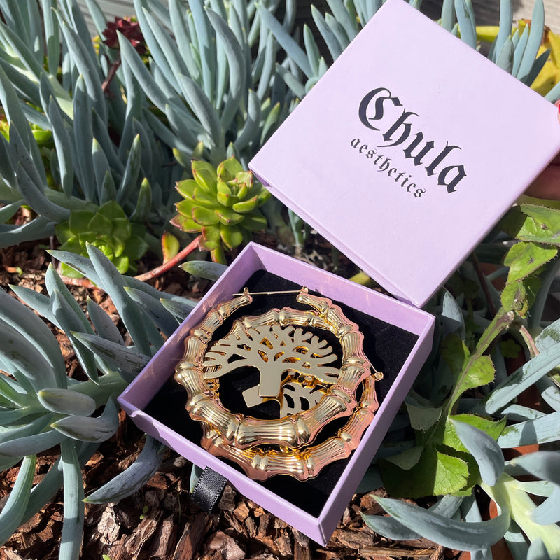 Set of earrings with gold plated bamboo hoops circling an Oak tree in a box next its lid with Chula Aesthetics printed on it.