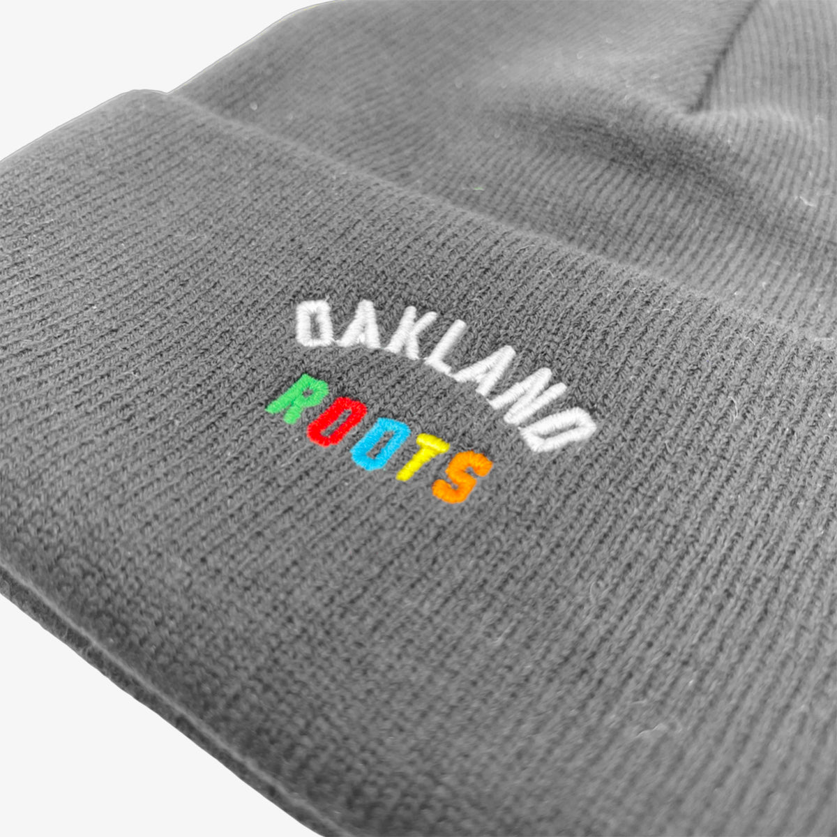 Close up of full-color Roots SC wordmark logo on a dark grey cuffed beanie.