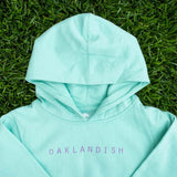 Close-up on top half of a mint green youth hoodie with purple Oaklandish wordmark on the chest, lying on grass.